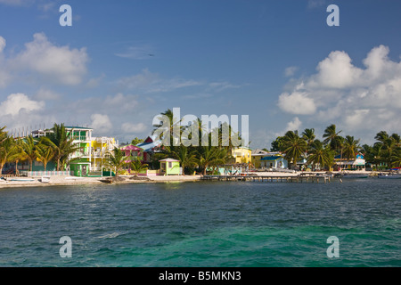 CAYE CAULKER BELIZE Waterfront Hotels zeigen Häuser und Palmen Stockfoto