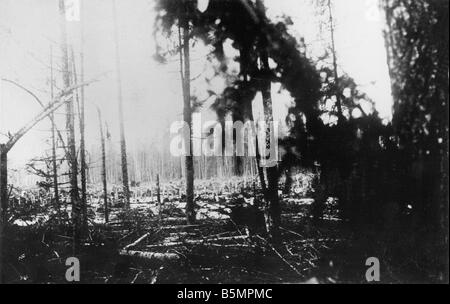 9 1916 3 18-A1 7 E Schlacht von Postawy 1916 zerstörte Wald 1. Weltkrieg östlichen vorderen Niederlage der russischen Truppen nach einem offen Stockfoto