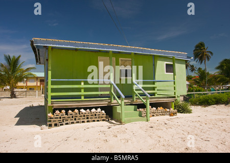 CAYE CAULKER BELIZE Holzhaus am Strand Stockfoto
