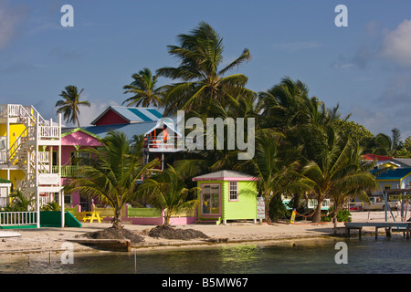 CAYE CAULKER BELIZE Hotels und Palmen Bäume am Strand Stockfoto