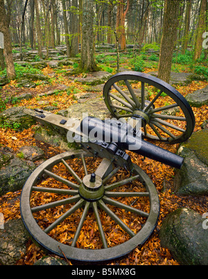 Artillerie im Wald Stones River National Battlefield Tennessee gebrochen Stockfoto