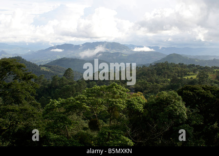 Bewaldete Berge und Cloud forest in der Nähe von Matagalpa, Nicaragua Stockfoto