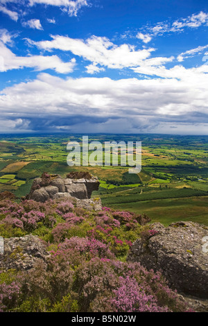 Pastoralen Feldern Streching bis zum Horizont, unterbrochen von Croghaun. Blick von oben Coumshingaun See, Comeragh Mountains, Grafschaft Waterford, Irland Stockfoto