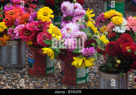 Dosen von Schnittblumen zum Verkauf auf einem Bauernmarkt in Martha's Vineyard, Massachusetts. Stockfoto