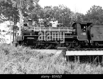 Mary-Tal Rattler Stockfoto