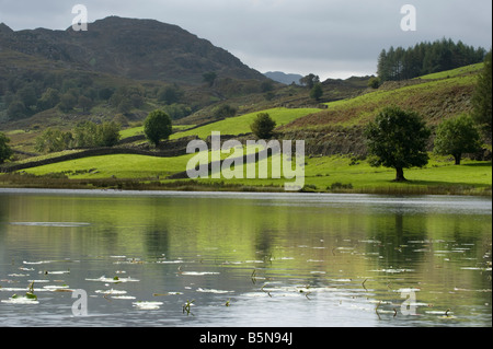 Reflexionen, Wasser, Hügeln, Bergen, stählerne Himmel; alle Funktionen der nördlichen Seen im Herbst. Stockfoto