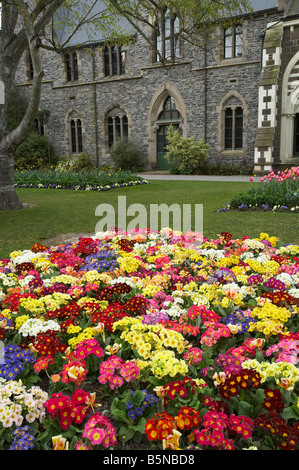 Christchurch Botanic Gardens und historische Canterbury Museum Christchurch Canterbury Süd-Insel Neuseeland Stockfoto