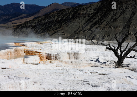 Mammoth Hot Springs, Yellowstone-Nationalpark, USA Stockfoto