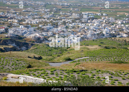 Blick über grüne Weinberge in Richtung Messaria Dorf auf Santorini, Griechenland Stockfoto