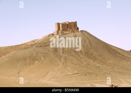 Qala'at ibn Maan Hügel Festung, Palmyra Stockfoto