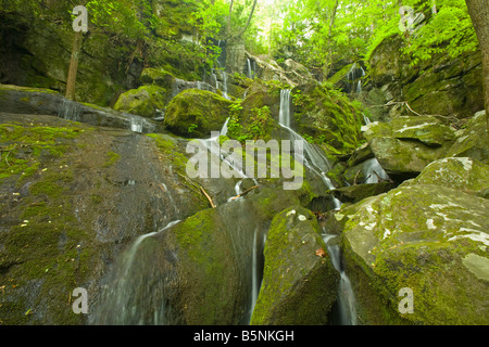 Cliff Branch fällt der Ort der tausend tropft Great Smoky Mountains Nationalpark TN USA Stockfoto