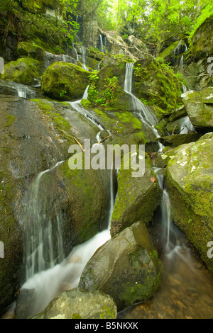 Cliff Branch fällt der Ort der tausend tropft Great Smoky Mountains Nationalpark TN USA Stockfoto