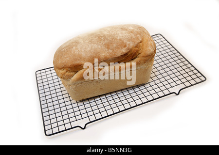 Hausgemachtes Brot auf Rack-Kühlung weißer Hintergrund Stockfoto