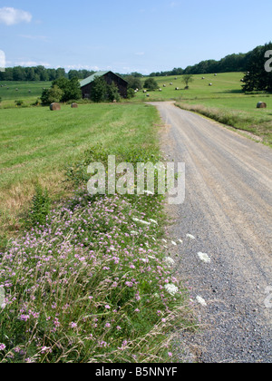 FELDWEG BROOKVILLE PENNSYLVANIA USA Stockfoto