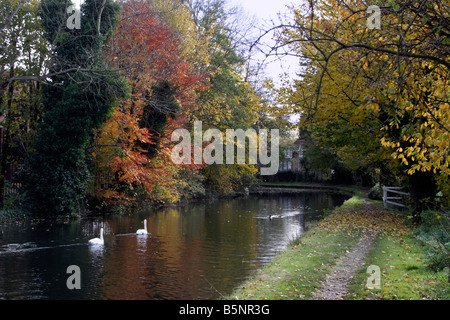 Herbst am Grand Union Canal Stockfoto