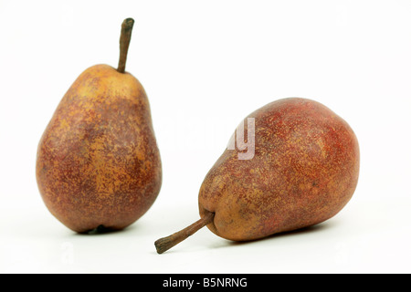 Red Bartlett Birnen Stockfoto