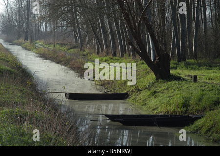 Boote in Fucecchio Sümpfen Stockfoto