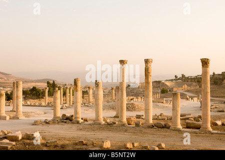 STEINSÄULEN IM KORINTHISCHEN STIL RÖMISCHER TEMPEL DER ARTEMIS RUINEN JERASH JORDAN Stockfoto