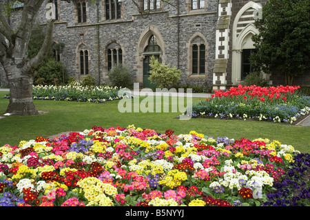 Christchurch Botanic Gardens und historische Canterbury Museum Christchurch Canterbury Süd-Insel Neuseeland Stockfoto