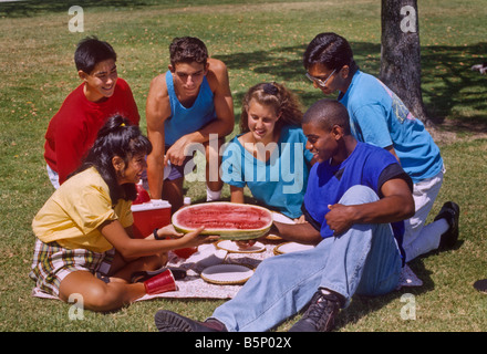 Multi-ethnischen Teen Gruppe Picknick im Park bei Sonnenschein Stockfoto