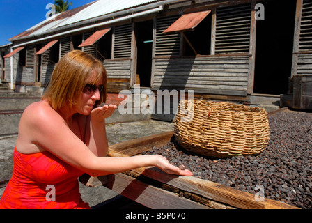 Schokolade Kakaobohnen Trocknen bei einem alten Plantage Site, Grenada in der "Karibik" Stockfoto