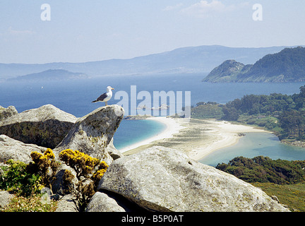 Blick von Monteagudo Insel. Cíes-Inseln. Atlantic Islands National Park. Pontevedra Provinz. Galizien. Spanien. Stockfoto