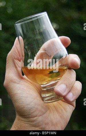 Eine Hand hält ein Glas single Malt Whisky Stockfoto