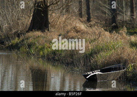 Boot bei Fucecchio Sümpfe Stockfoto