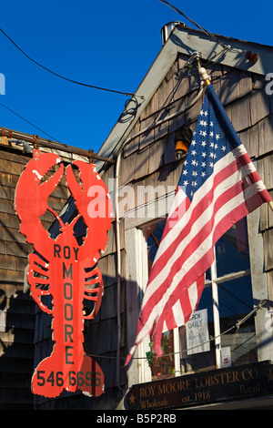 Filiale in Bär Haut Hals Rockport Cape Ann größere Boston Bereich Massachusetts, USA Stockfoto