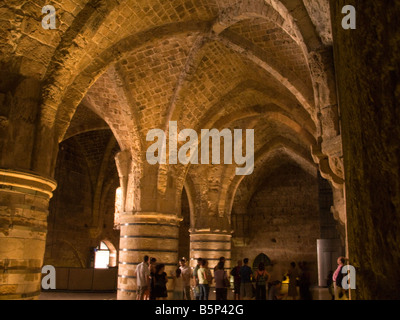 MITTELALTERLICHER KREUZRITTER RITTER HALL ACCO ALTSTADT WESTLICHEN GALILÄA ISRAEL Stockfoto