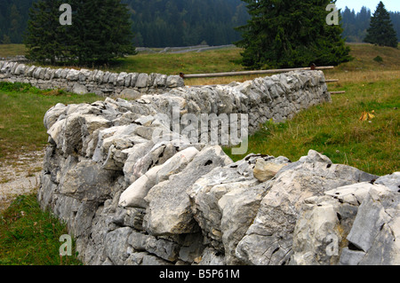 Trockenen Steinmauer traditionellen Weide Fechten im Jura Region, Col du Marchairuz, Kanton Waadt, Schweiz Stockfoto