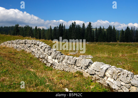 Trockenen Steinmauer traditionellen Weide Fechten im Jura Region, Col du Marchairuz, Kanton Waadt, Schweiz Stockfoto