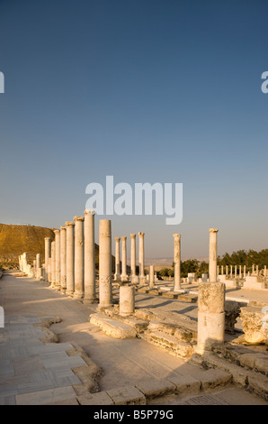 PALLADIUS STREET BYZANTINISCHEN KOLONNADE RUINEN TEL BEIT SHEAN NATIONALPARK ISRAEL Stockfoto