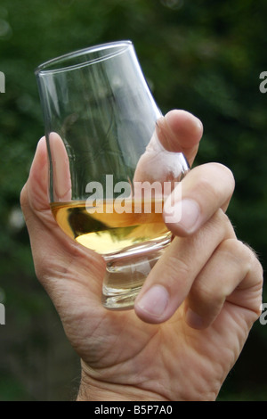 Eine Hand hält ein Glas single Malt Whisky Stockfoto