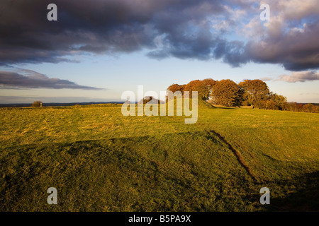 Der Hügel der Geiseln, Sitz der hohen Könige von Irland, Hill of Tara, County Meath, Irland Stockfoto