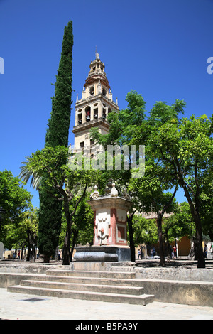 Torre del, Alminar, Patio de Los Naranjos, Mezquita, Córdoba, Andalusien, Südspanien. Stockfoto