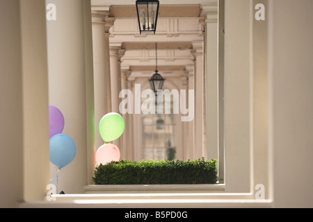 Helium gefüllte pastellfarbenen Brthday party Luftballons gebunden, Geländer in Exklusives Anwesen in Belgravia Eaton Place Stockfoto