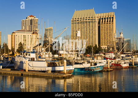 Thunfisch Hafen San Diego Kalifornien USA Stockfoto