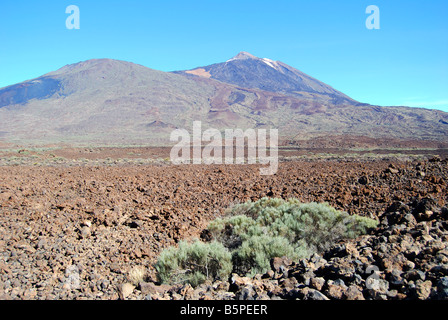 Blick von Mt.Teide über Lavafelder, vom Lookout point, Parque Nacional Del Teide, Teneriffa, Kanarische Inseln, Spanien Stockfoto