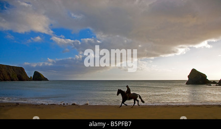 Pferd und Reiter auf Ballydowane Strand, in der Nähe von Bunmahon, Grafschaft Waterford, Irland Stockfoto