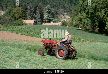 Landwirt Vintage Mini Traktor schneiden Gras im Feld in der Nähe von Bourdeaux, zahlt Bourdeaux, Drome Abteilung, nördlichen Provence, Frankreich Stockfoto