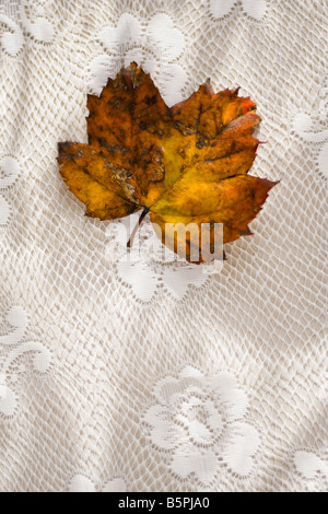 Bunte Herbst Blatt auf eine Spitze bedeckt Tischplatte. Stockfoto