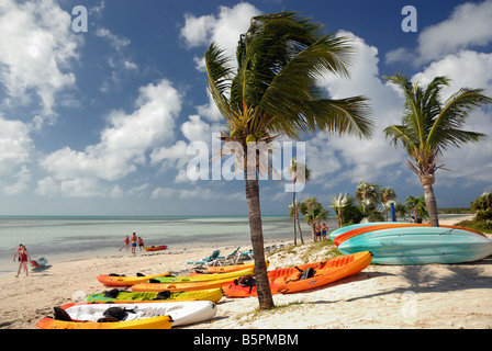 Kajaks am Strand von Little Stirrup Cay, Bahamas - eines der Berry Islands, eine Sammlung von Inseln und Inselchen. Stockfoto