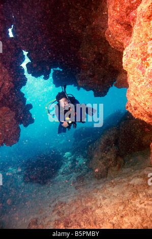 männlichen Taucher umgeben von Korallen des Great Barrier Reef Australien Stockfoto