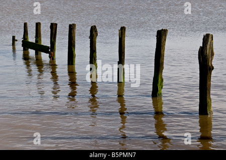 Die Reste einer alten hölzernen Wellenbrecher. Stockfoto