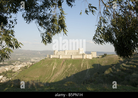 Krak Des Chevaliers, Kreuzfahrerburg, Syrien, Qalaat Al Hosn Stockfoto