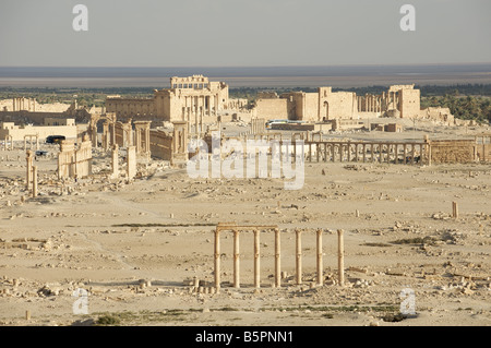 Palmyra Stockfoto