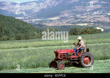 Landwirt Vintage Mini Traktor schneiden Gras im Feld in der Nähe von Bourdeaux, zahlt Bourdeaux, Drome Abteilung, nördlichen Provence, Frankreich Stockfoto