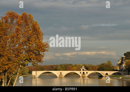 Pont Saint-Bénezet Avignon Frankreich Stockfoto