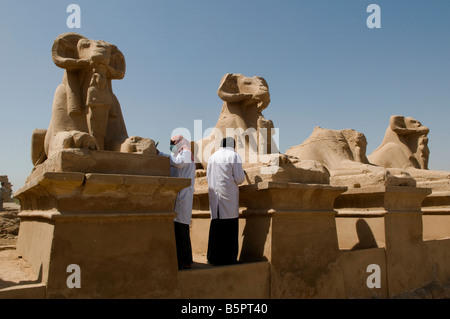 Arbeitnehmer Reinigung Linie ram vorangegangen Statuen am Prozessionsweg Sphingenallee auf der Karnak Tempel Komplex in der Nähe von Luxor Ägypten Stockfoto